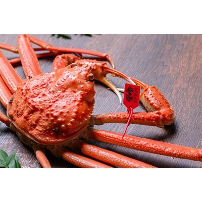 匠の松葉ガニ　魚政BLACK　茹で　特撰　大サイズ　1100g級　1匹【11月～12月発送】
