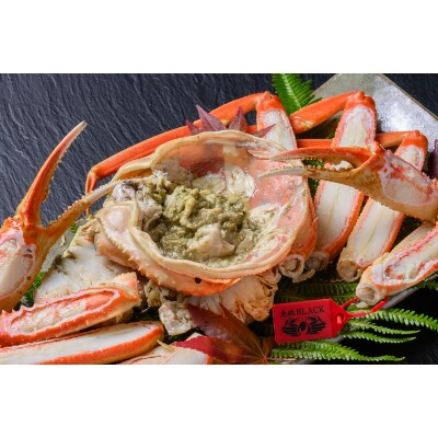 匠の松葉ガニ　魚政BLACK　茹で　特撰　大サイズ　1100g級　1匹【11月～12月発送】
