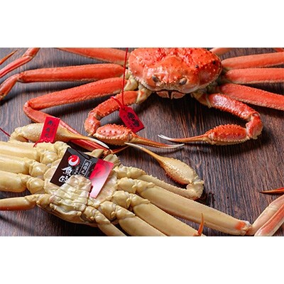 匠の松葉ガニ　魚政BLACK　茹で　特撰　小サイズ　700g級　2匹セット【11月～12月発送】