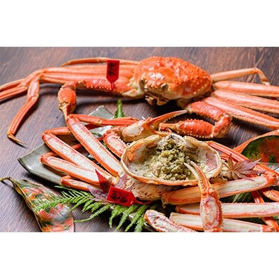 匠の松葉ガニ　魚政BLACK　茹で　特撰　小サイズ　700g級　2匹セット【11月～12月発送】