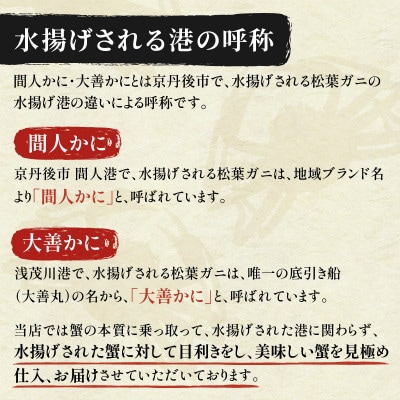 蟹の匠　魚政の京丹後市産　未冷凍　茹で間人ガニ大善ガニ　特選　900g級 1匹(11月～12月発送)