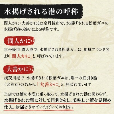 蟹の匠　魚政の京丹後市産　未冷凍　茹で間人ガニ大善ガニ　特選　1200g級 1匹(2024年発送)