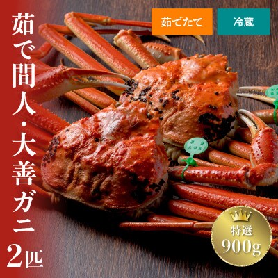 蟹の匠 魚政の京丹後市産　未冷凍　茹で間人ガニ大善ガニ特選　900g級 2匹(2025年1月～発送)