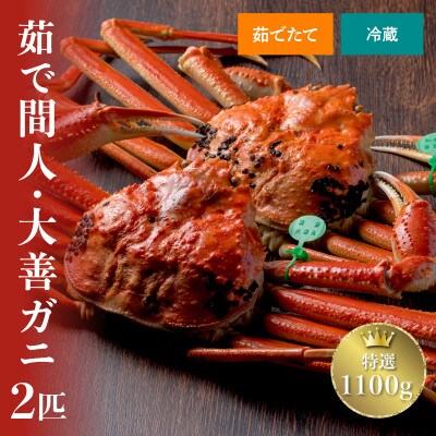 蟹の匠 魚政の京丹後市産　未冷凍　茹で間人ガニ大善ガニ特選1100g級 2匹(2025年1月～発送)