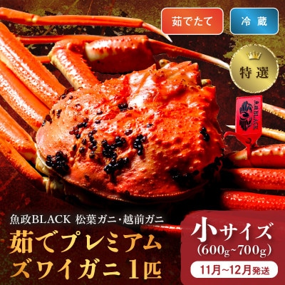 茹でプレミアムズワイガニ 魚政BLACK(松葉ガニ・越前ガニ)特撰 小サイズ1匹(11～12月発送)