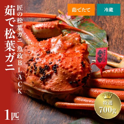 茹でプレミアムズワイガニ(松葉・越前)　魚政BLACK特撰 700g級 1匹(2025年1月～発送)