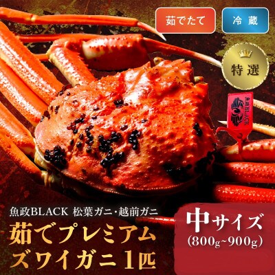 茹でプレミアムズワイガニ(松葉・越前)　魚政BLACK　特選　中サイズ　1匹(11～12月発送)