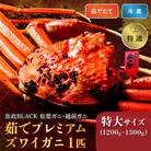 茹でプレミアムズワイガニ(松葉・越前)魚政BLACK　特選 特大サイズ 1匹(11～12月発送)