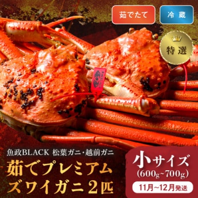 茹でプレミアムズワイガニ 魚政BLACK(松葉ガニ・越前ガニ)特撰 小サイズ2匹(11～12月発送)