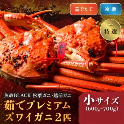 プレミアムズワイガニ 魚政BLACK(松葉ガニ・越前ガニ)特撰 小サイズ2匹(2026年1月～発送)