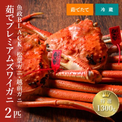 茹でプレミアムズワイガニ(松葉・越前)魚政BLACK特撰 1300g級 2匹(2025年1月～発送)