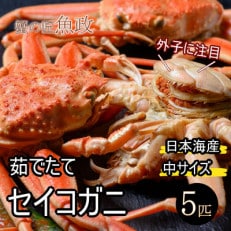 蟹の匠 魚政の内子外子が美味! 茹でたて セイコガニ中サイズ 5匹