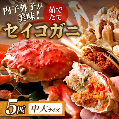 蟹の匠　魚政の内子外子が美味! 茹でたて セイコガニ(セコ蟹)(香箱ガニ)(こっぺ)中大サイズ 5匹