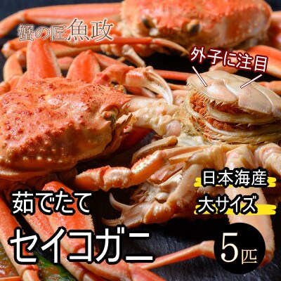 蟹の匠 魚政の内子外子が美味! 茹でたて セイコガニ(セコ蟹)(香箱ガニ)(こっぺ)大サイズ 5匹