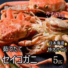 蟹の匠　魚政の内子外子が美味!　茹でたて　セイコガニ特大サイズ　5匹