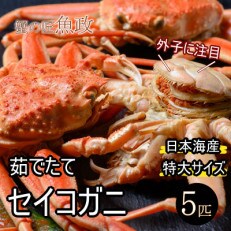 蟹の匠 魚政の内子外子が美味! 茹でたて セイコガニ特大サイズ 5匹