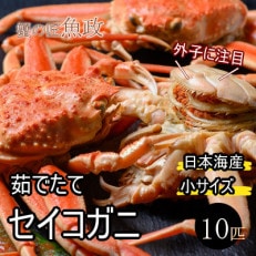 蟹の匠 魚政の内子外子が美味! 茹でたて セイコガニ小サイズ 10匹