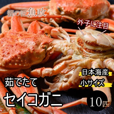 蟹の匠　魚政の内子外子が美味! 茹でたて セイコガニ(セコ蟹)(香箱ガニ)(こっぺ)小サイズ 10匹