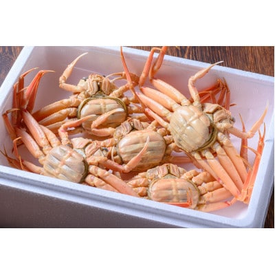 蟹の匠 魚政の内子外子が美味! 茹でたて セイコガニ(セコ蟹)(香箱ガニ)(こっぺ)中大サイズ10匹