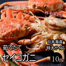 蟹の匠 魚政の内子外子が美味! 茹でたて セイコガニ特大サイズ 10匹