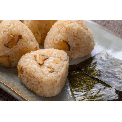 京丹後 BBQセット ベーシック+一夜干しセット(濃縮ダシ付き)にサザエご飯のおにぎり10個付き