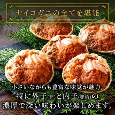 【年末発送】ズワイガニ セイコガニの甲羅盛り 夫婦宝船セット 小小サイズ お正月用 雄雌の甲羅盛り