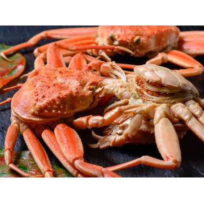 蟹の匠 魚政 急速冷凍　内子外子が美味!　セイコガニ　小サイズ 5匹