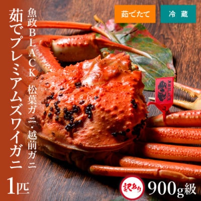 茹で プレミアムズワイガニ 魚政BLACK 訳あり 900g級1匹(2025年1月～順次発送)