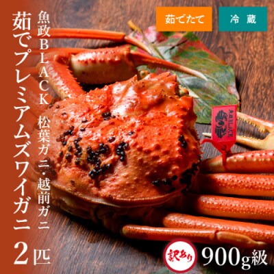 茹で プレミアムズワイガニ 魚政BLACK 訳あり 900g級2匹(11月～12月発送予定)