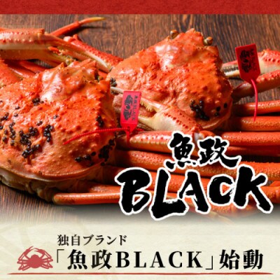 茹で プレミアムズワイガニ 魚政BLACK 訳あり 900g級2匹(11月～12月発送予定)