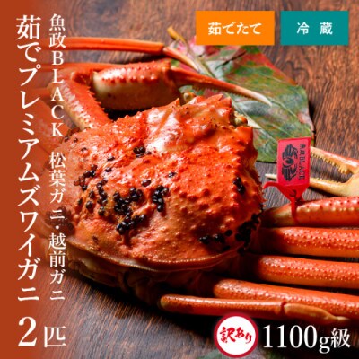 茹で プレミアムズワイガニ 魚政BLACK 訳あり 1100g級2匹(11月～12月発送予定)