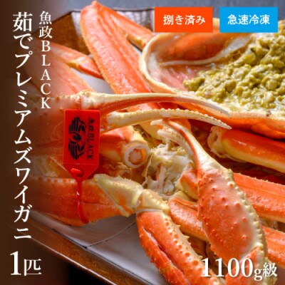 急速冷凍 茹でプレミアムズワイガニ魚政BLACK 1100g級1匹(11月～順次発送)