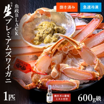 急速冷凍 生プレミアムズワイガニ魚政BLACK 600g級1匹(11月～12月発送予定)