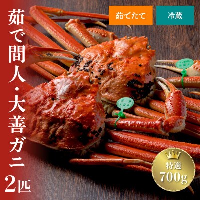 蟹の匠　魚政の京丹後市産　未冷凍　茹で間人ガニ大善ガニ特選　700g級 2匹(2025年1月～発送)