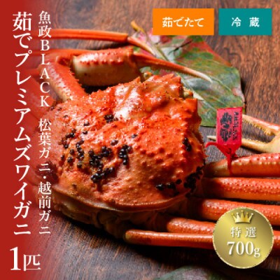 茹でプレミアムズワイガニ(松葉・越前)　魚政BLACK　特選　700g級　1匹(2025年1月～発送