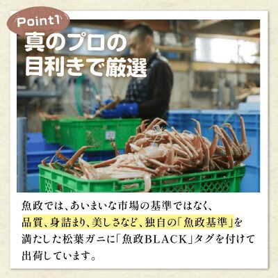 茹でプレミアムズワイガニ(松葉・越前)　魚政BLACK　特選　700g級　1匹(2025年1月～発送