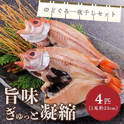 山陰日本海産　北畿水産ののどぐろ一夜干し4匹入り　ハイブリット新技術冷凍により高品質でお届け