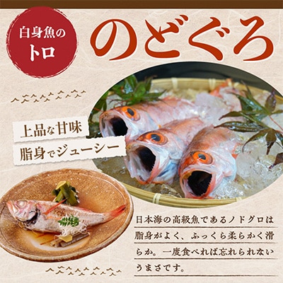 山陰日本海産　北畿水産ののどぐろ一夜干し4匹入り　ハイブリット新技術冷凍により高品質でお届け