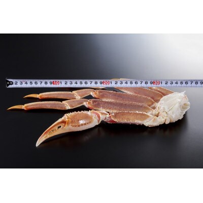 北畿水産の【かにポーション】希少な5Lサイズ使用で圧巻の食べ応え