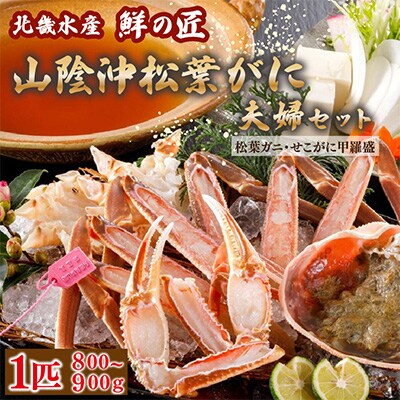 北畿水産の【1月～3月順次発送予定】【山陰活〆松葉がに夫婦セット せこがに甲羅盛り付き】