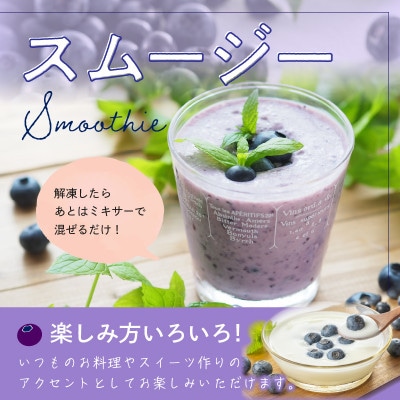 おいしさそのまま摘みたてをハイブリッド冷凍　北畿水産の冷凍ブルーベリー 1kg