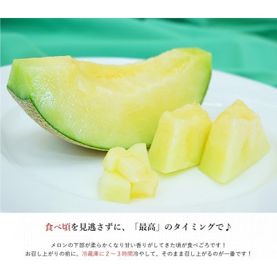 糖度15度以上!京丹後砂丘メロン 2玉入り(2025年6月下旬～発送)