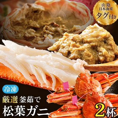【山陰日本海産】釜茹で松葉ガニ(冷凍) 2杯 各500～600g お試し・少量贅沢|北畿水産