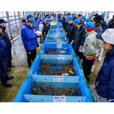 【山陰日本海産】釜茹で松葉ガニ(冷凍) 2杯 各500～600g お試し・少量贅沢|北畿水産