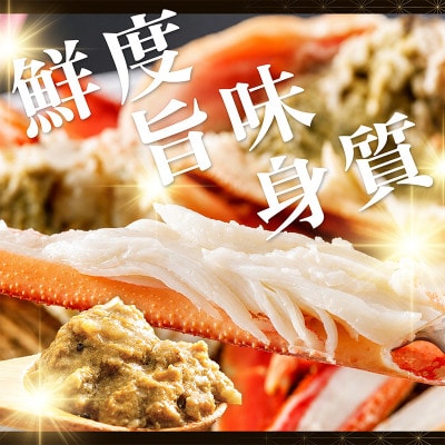 【山陰日本海産】釜茹で松葉ガニ(冷凍) 2杯 各500～600g お試し・少量贅沢|北畿水産