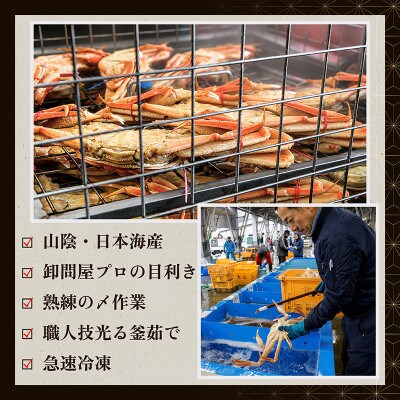 【山陰日本海産】釜茹で松葉ガニ(冷凍) 2杯 各500～600g お試し・少量贅沢|北畿水産