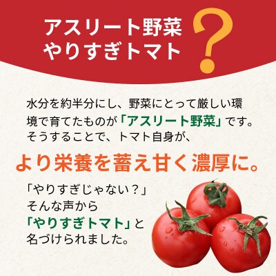 【先行受付/2025年夏発送】やりすぎトマト　4パック計約1kg　高糖度ミディトマト アスリート野菜