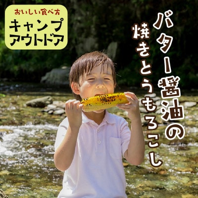 鮮度抜群!生でも食べられる高糖度!もぎたて フルーツトウモロコシ 食べ比べセット(黄色・白色各5本)