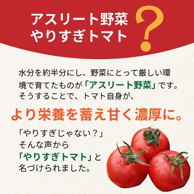 【先行受付/2025年冬発送】やりすぎトマト(4パック計約1kg)