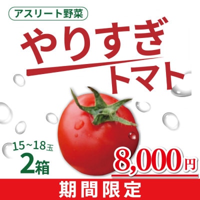【限定】やりすぎトマト (15～18玉×2箱)【冬】期間限定8,000円